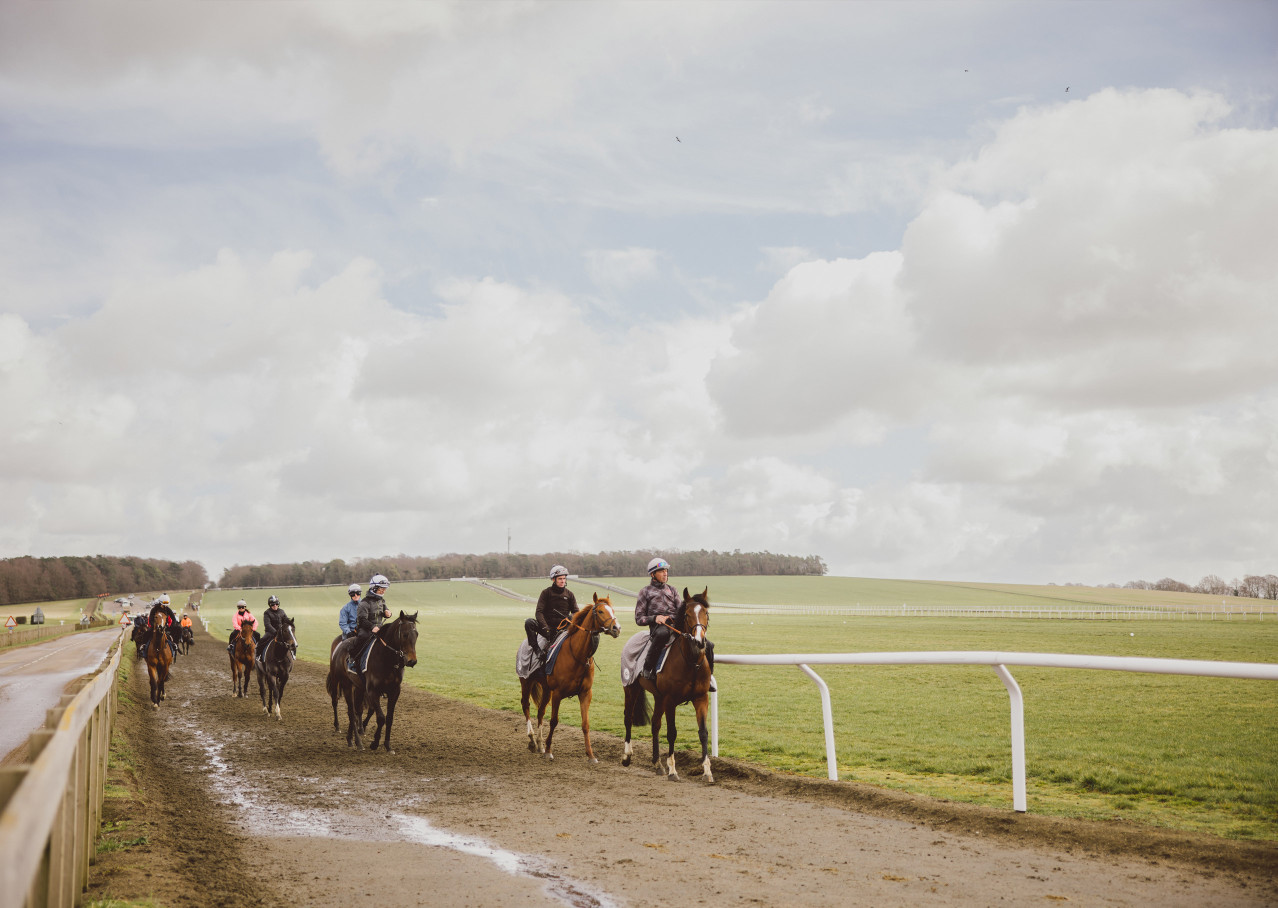 Photo of racehorse training at Newmarket but Paul Tait