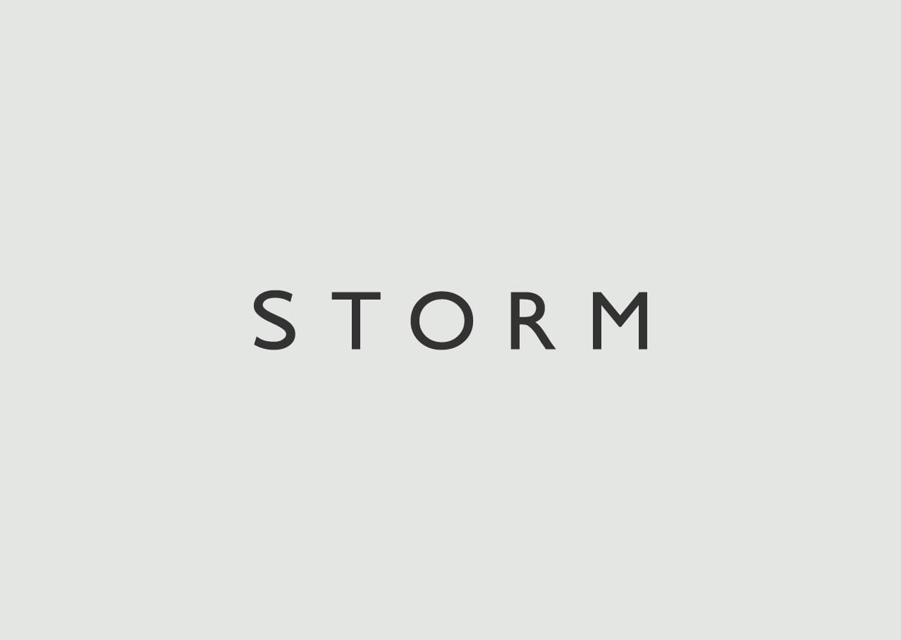 Storm logo design and branding