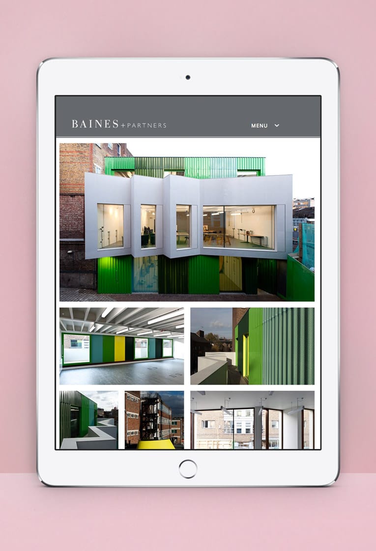 Baines branding and web design