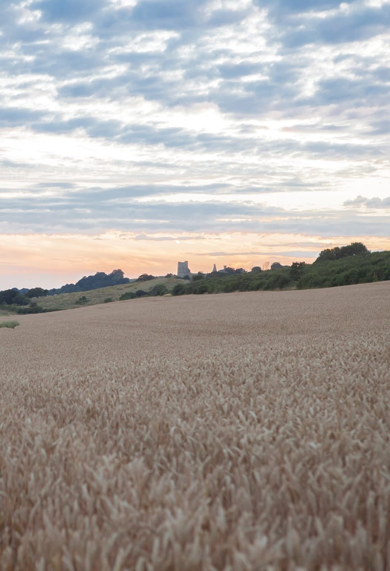 Image of Hadleigh from Eden Point brochure